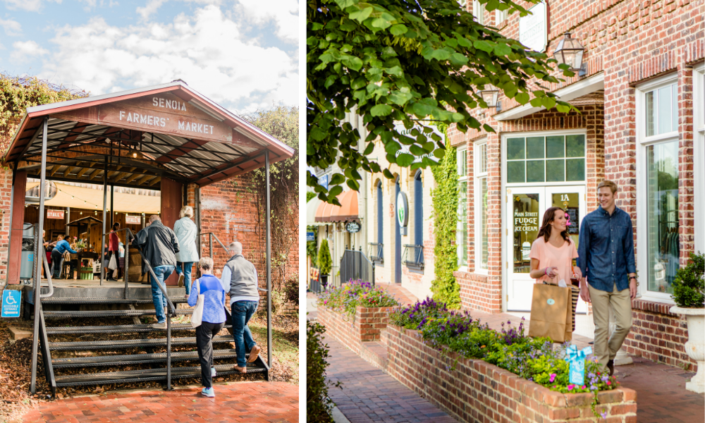 Overlook at Gin Property | Senoia Amenities Image 1